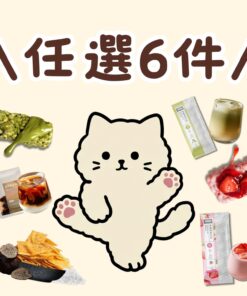 新會員限定 每人限購一套！